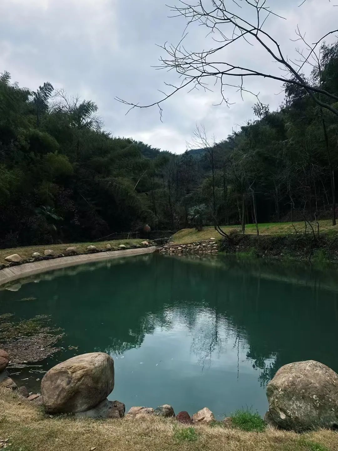 DƬ